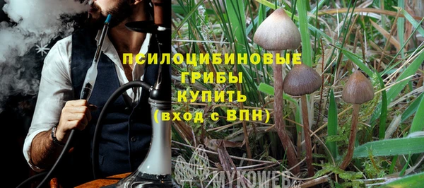 стаф Бородино