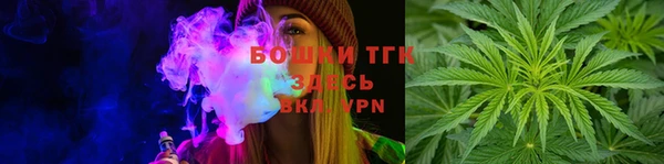 дживик Бронницы