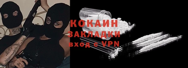 стаф Бородино