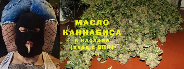 стаф Бородино