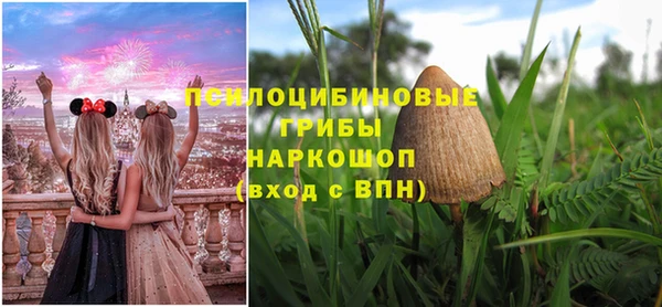 дживик Бронницы