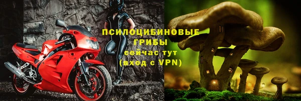 дживик Бронницы