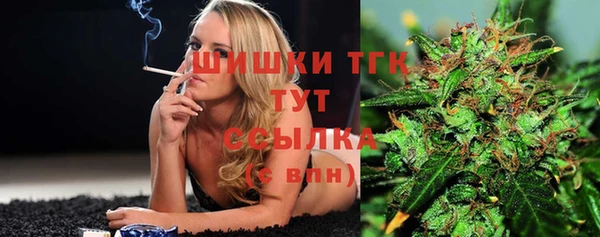 дживик Бронницы