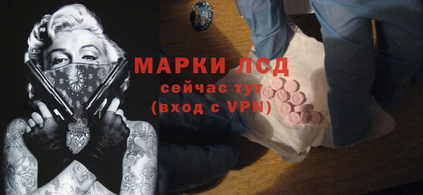 стаф Бородино