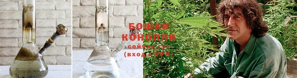 стаф Бородино