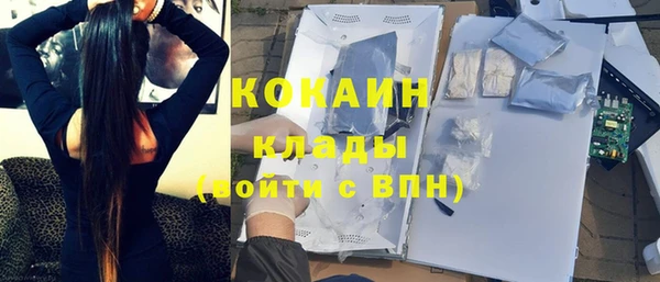 дживик Бронницы