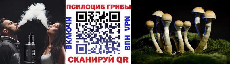 Галлюциногенные грибы GOLDEN TEACHER Нижний Новгород